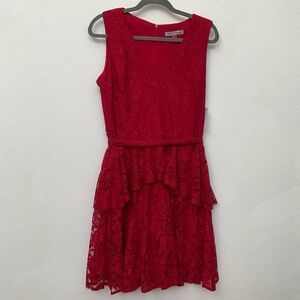NWT Danny And Nicole Garnet Red Sparkle Lace Zip Back Dress Size 12 Holiday